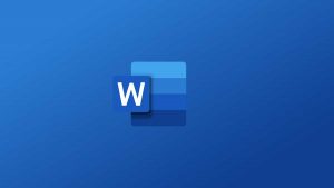 MS Word Support Denver